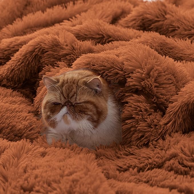 Bedsure GentleSoft Fluffy Burnt Orange King Size Blanket for Bed, Thick Soft Sherpa Faux Fur Fleece Bedding Fuzzy Plush Winter Warm Heavy Large King Blanket, Cozy Orange Gifts for Men Women, 108x90