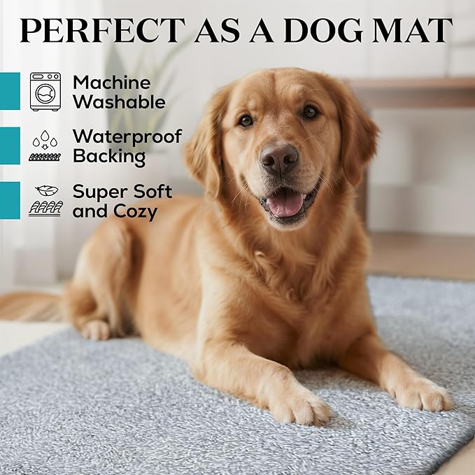 Premium Microfiber Indoor Door Mat – 24"x36" Washable Entry Mat, Non-Slip, Waterproof Backing, Super Absorbent, Low Profile Entryway Doormat for Indoor Entrance