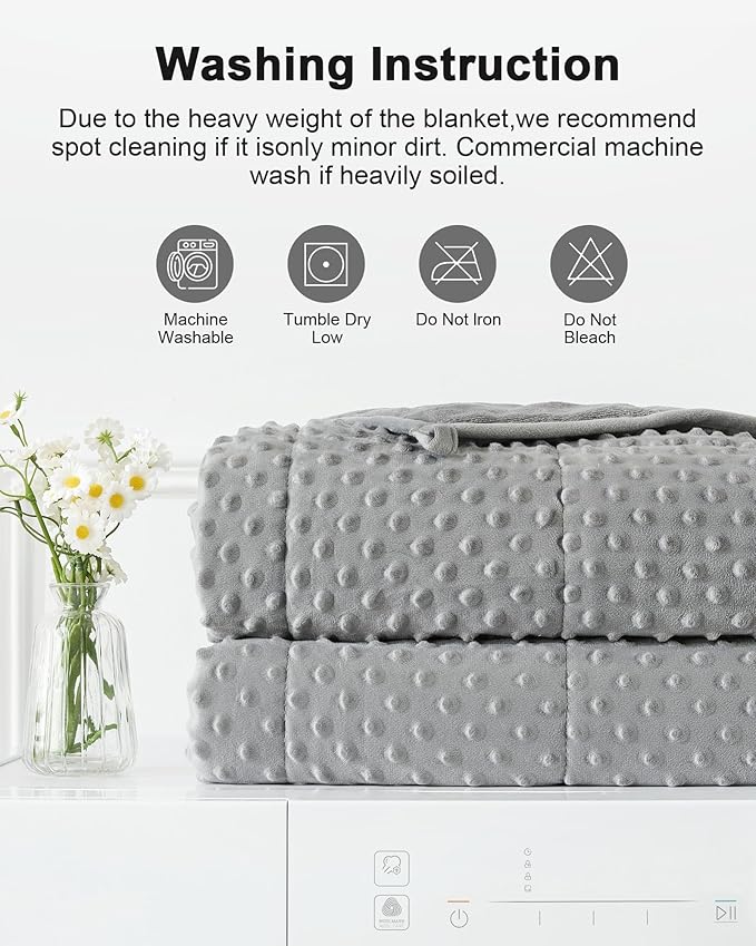 Minky Dot Weighted Blanket for Adults Queen Size 15 lbs, Soft Cooling Heavy Breathable Blanket for All-Season, Washable Weighted Throw with Glass Beads, 60 x 80 Inches, Grey