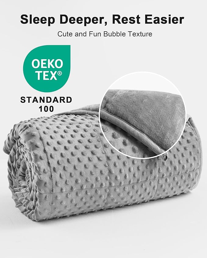 Weighted Blanket for Adults Queen Size 20 lbs, All-Season Minky Dots Cooling Heavy Blanket for Women Men, Soft Cozy and Breathable Weighted Throw, Machine Washable, 60 x 80 Inches, Grey