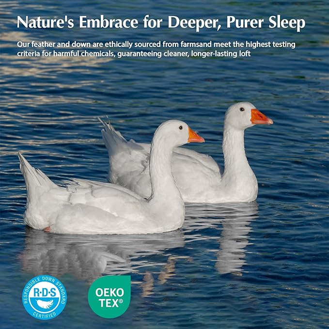 Pacific Coast Goose Feather Down Comforters Twin Size, 100% Cotton Extra Fluffy White Duvet Insert, Soft, Breathable, All Season Hotel Luxury Bedding Comforters, 8 Corner & Center Loops (68"x90")