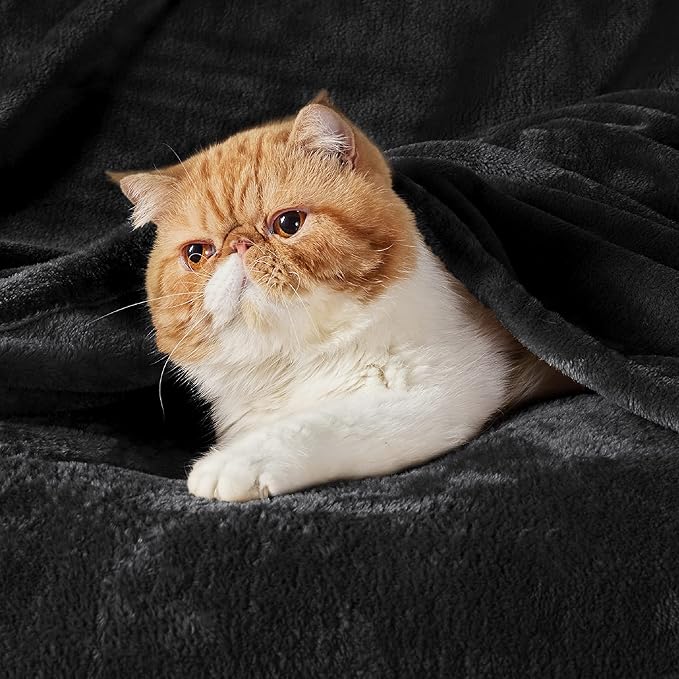 Bedsure GentleSoft Fleece Bed Blankets Large Size Black - Soft Lightweight Fuzzy Cozy Luxury Oversized King Blanket Microfiber, Room Home Decor Gifts for Women and Men, 120x120 inches
