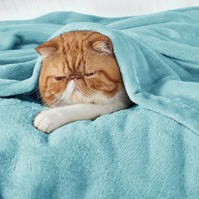 Bedsure GentleSoft Fleece Throw Blanket for Couch River Blue - Lightweight Plush Fuzzy Cozy Soft Blankets and Throws for Sofa, 50x70 inches