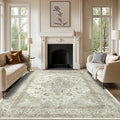 vivorug 6x9 Area Rugs, Ultra-Soft Washable Rug for Living Room Dinner Room Bedroom, Non-Slip Vintage Sage Green Rug, Indoor Carpet Large Area Rug