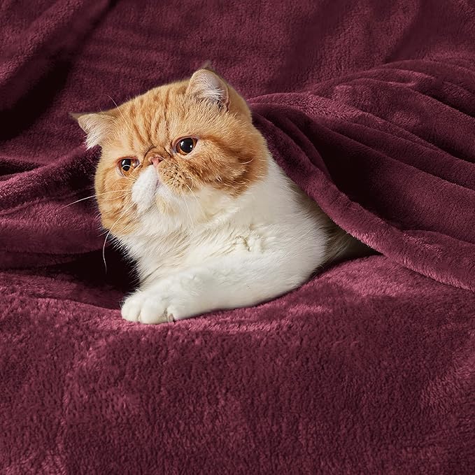 Bedsure GentleSoft Fleece Blanket Twin Size Burgundy - 300GSM Lightweight Plush Fuzzy Cozy Soft Warm Blanket for Bed, Sofa, Couch, Travel, Camping, 60x80 inches