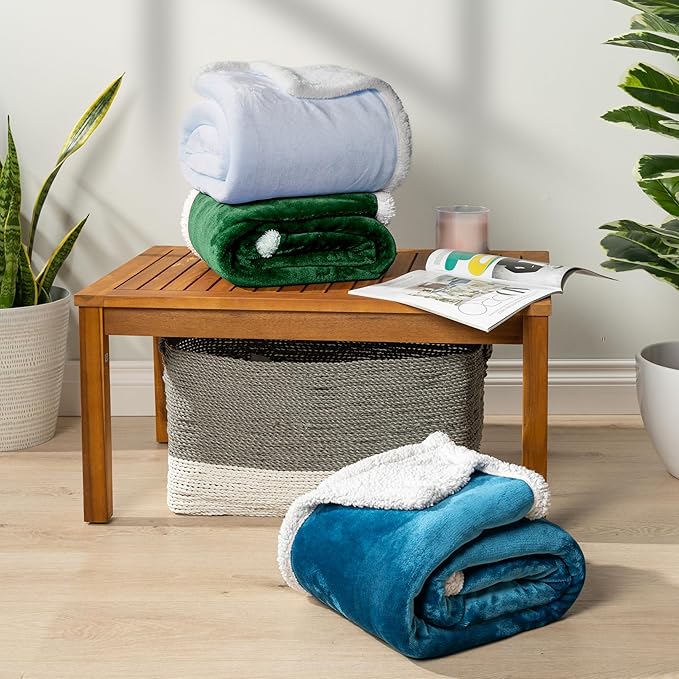 PAVILIA Sherpa Fleece Throw Blanket for Couch, Twin Size, Light Blue, Plush Soft Fuzzy Sofa Blanket, Cozy Reversible Winter Throw for Women Men, 60x80 Inches