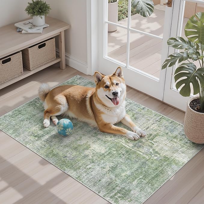 2x3 Abstract Washable Rugs for Kitchen, Floor, Entryway, Powder Room Small Area Rug Non-Slip Vintage Low Pile Throw Door Mat Green Ivory