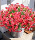 Fake Plants Artificial Flowers for Outdoor Outside Decor, 12 Bundles Faux Flowers Silk Hot Pink Morning Glory with Eucalyptus Look Real UV Resistant Faux Greenery for Planter Front Door Porch Patio