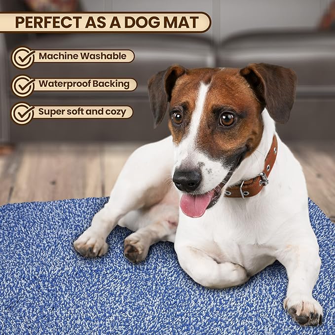 Premium Microfiber Indoor Door Mat – 24"x36" Washable Entry Mat, Non-Slip, Waterproof Backing, Super Absorbent, Low Profile Entryway Doormat for Indoor Entrance