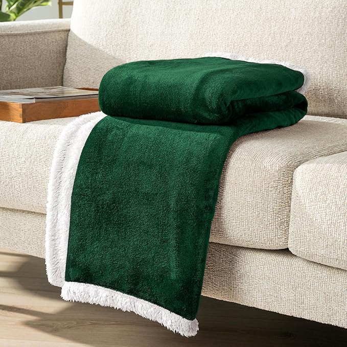 PAVILIA Sherpa Fleece Throw Blanket for Couch, Twin Size, Emerald Green, Plush Soft Fuzzy Sofa Blanket, Cozy Reversible Winter Throw for Women Men, 60x80 Inches