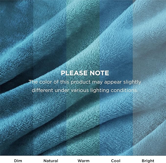 Bedsure GentleSoft Bedding Fleece Blanket for Girls and Boys - Soft Cozy Cute Small Throw Blankets for Travel, 43x55 Inches,Teal Blue