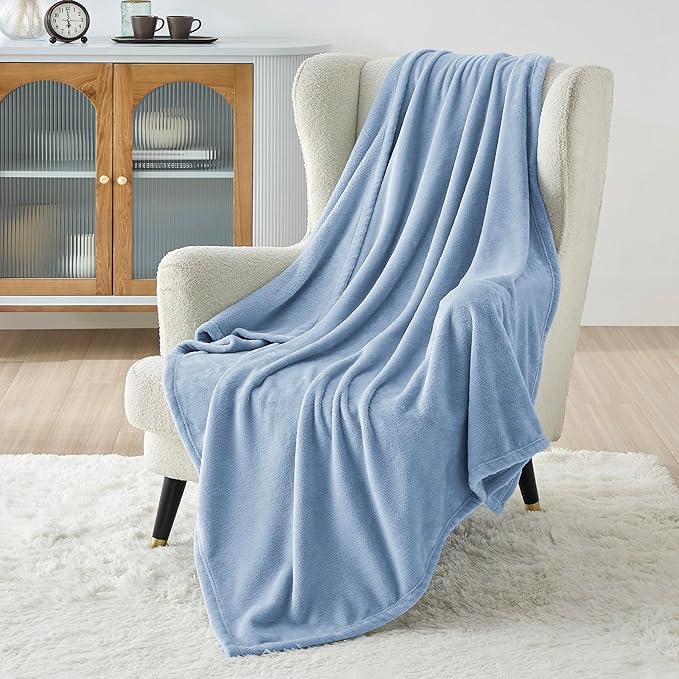 Bedsure GentleSoft Fleece Blankets Twin Size Light Blue - 300GSM Lightweight Plush Fuzzy Cozy Soft Blanket for Bed, Sofa, Couch, Travel, Camping, 60x80 inches