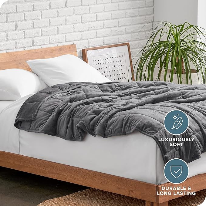 Bare Home Weighted Blanket Twin or Full Size 10lb (40" x 60") - Minky Fleece - Premium Heavy Blanket Nontoxic Glass Beads (Grey, 40"x60")