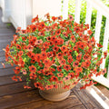 HyeFlora Artificial Fall Flowers Faux Mums for Outdoor Indoor Garden Home Decoration, Faux Flower Daisy with Eucalyptus Leaves Fake Mums Plants Greenery Boxwood Porch Patio, 12 Bundles (Orange)