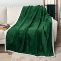 PAVILIA Sherpa Fleece Throw Blanket for Couch, Twin Size, Emerald Green, Plush Soft Fuzzy Sofa Blanket, Cozy Reversible Winter Throw for Women Men, 60x80 Inches