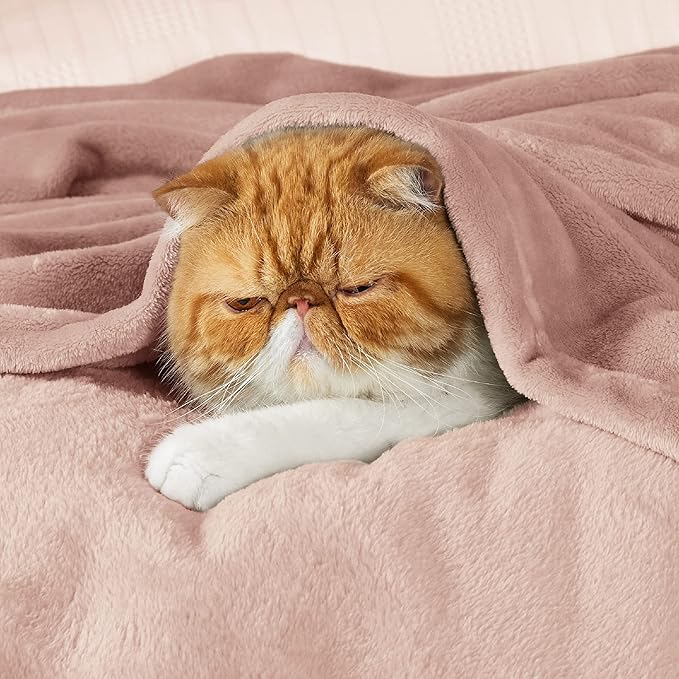 Bedsure GentleSoft Fleece Blanket Twin Size Dusty Pink - 300GSM Lightweight Plush Fuzzy Cozy Soft Warm Blanket for Bed, Sofa, Couch, Travel, Camping, 60x80 inches