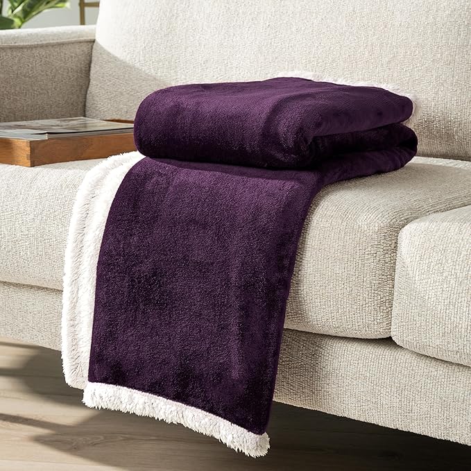 PAVILIA Sherpa Fleece Throw Blanket for Couch, Twin Size, Purple, Plush Soft Fuzzy Sofa Blanket, Cozy Reversible Winter Throw for Women Men, 60x80 Inches