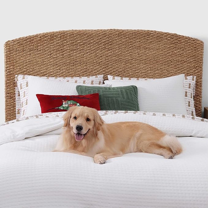 Tommy Bahama - Queen Size Sheet Set, Crisp & Cool Cotton Percale Bedding with a Smooth Lightweight Feel, 4 Piece Holiday Bed Sheets with Matching Pillowcases (Wrapped Up Red)
