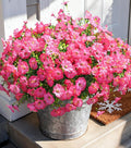 Artificial Flowers Fake Plants for Outdoors Decoration, 12 Bundles Pink Silk Morning Glory with Eucalyptus Realistic UV Resistant Faux Flowers Greenery for Outside Planter Yard Garden Home Indoor Urn