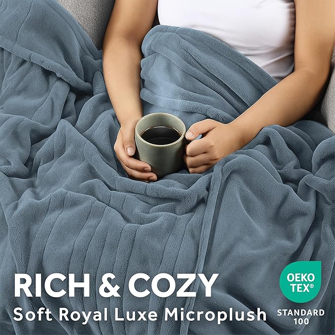 Sunbeam Electric Royal Luxe Microplush Heated Blanket, 12 Heat Settings, 12-Hour Auto Shut-Off, Fast Heating, Warm and Cozy, Cadet Blue Color, Twin (84" x 62")