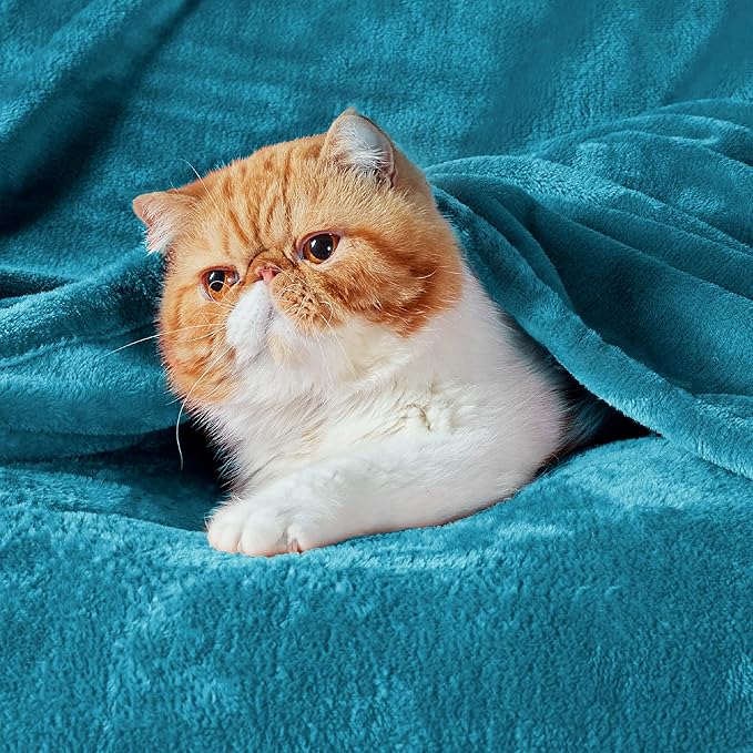 Bedsure GentleSoft Fleece Blankets King Size Teal - Bed Blanket Soft Lightweight Plush Cozy Fuzzy Luxury Microfiber, 108x90 inches