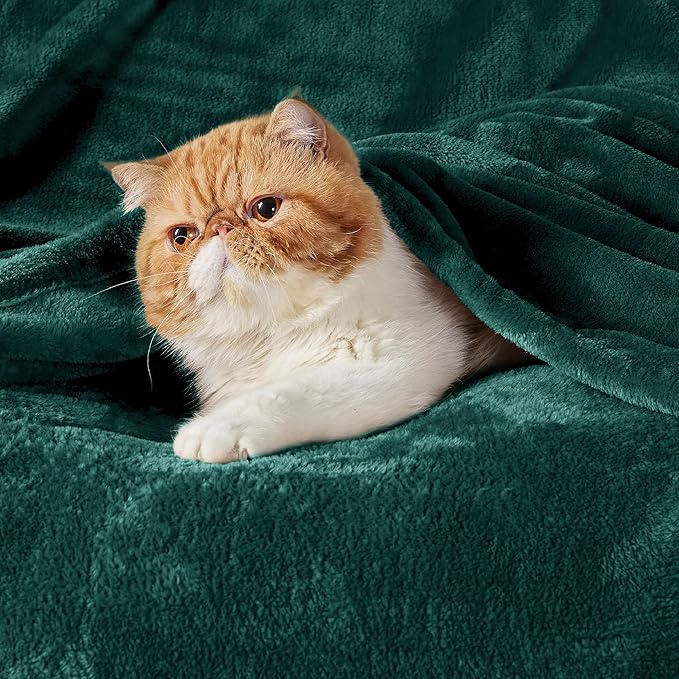 Bedsure GentleSoft Fleece Bed Blankets Large Size Forest Green - Soft Lightweight Cozy Oversized King Blanket Microfiber, Room Home Decor Gifts for Women and Men, 120x120 inches