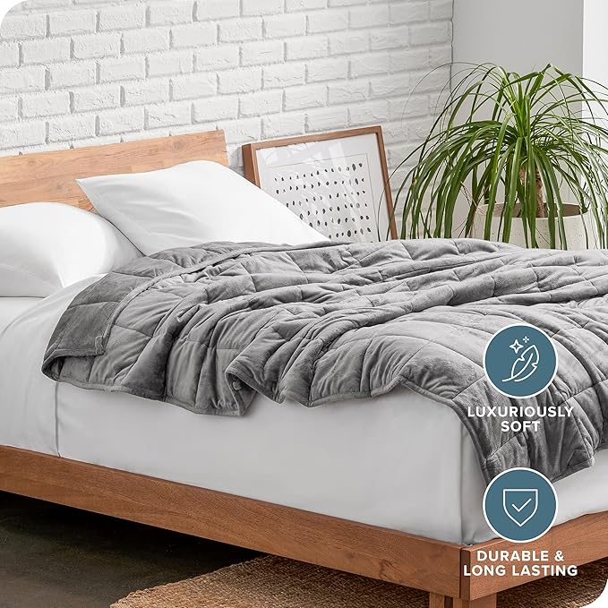 Bare Home Weighted Blanket Twin or Full Size 10lb (40" x 60") - Minky Fleece - Premium Heavy Blanket Nontoxic Glass Beads (Light Grey, 40"x60")