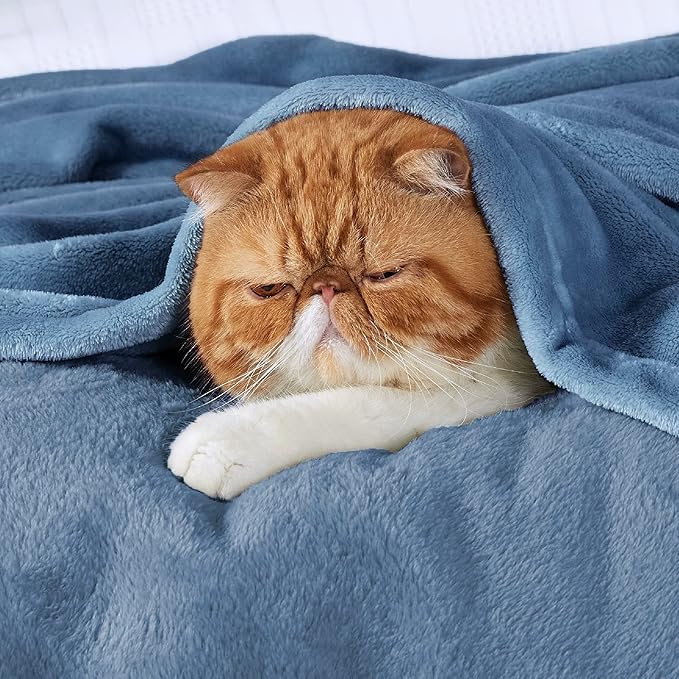 Bedsure GentleSoft Fleece Throw XL Blanket Washed Blue - 300GSM Soft Lightweight Plush Cozy Blankets for Bed, Sofa, Couch, Travel, Camping, 50x70 inches