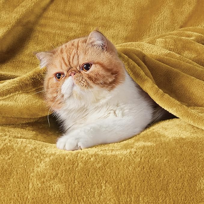 Bedsure GentleSoft Fleece Blanket Twin Size Yellow - 300GSM Lightweight Plush Fuzzy Cozy Soft Warm Blanket for Bed, Sofa, Couch, Travel, Camping, 60x80 inches