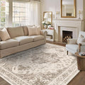 6x9 Vintage Washable Area Rugs Boho Medallion Large Distressed Retro Accent Carpet Floral Non-Slip Soft Low Pile Indoor Throw Rug for Living Room Bedroom Dining Room Office Kitchen, Taupe