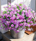 Artificial Flowers Fake Plants for Outdoors Decoration, 12 Bundles Purple Silk Morning Glory with Eucalyptus Realistic UV Resistant Faux Flowers Greenery for Outside Planter Yard Garden Home Indoor