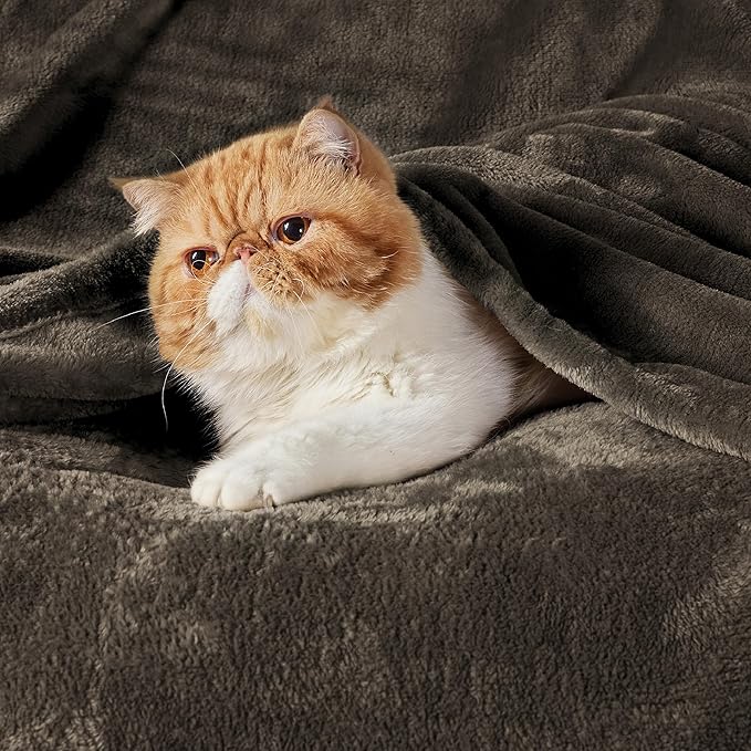 Bedsure GentleSoft Brown Fleece Blankets King Size - Bed Blanket Soft Lightweight Plush Cozy Fuzzy Luxury Microfiber, 108x90 inches