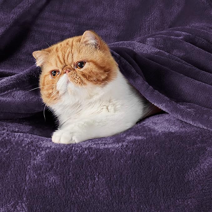Bedsure GentleSoft Purple Fleece Blankets King Size - Bed Blanket Soft Lightweight Plush Cozy Fuzzy Luxury Microfiber, 108x90 inches