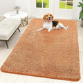 OLANLY Dog Door Mat for Muddy Paws 59x35, Absorbs Moisture and Dirt, Absorbent Non-Slip Washable Doormat, Quick Dry Chenille Mud Mat for Dogs, Entry Indoor Entryway Carpet for Inside Floor, Orange