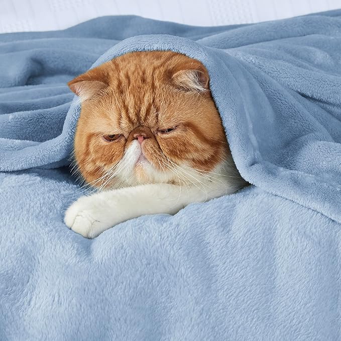 Bedsure GentleSoft Fleece Bed Blankets Queen Size Light Blue - Soft Lightweight Plush Fuzzy Cozy Luxury Blanket Microfiber, 90x90 inches