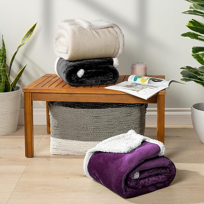 PAVILIA Sherpa Fleece Throw Blanket for Couch, Twin Size, Purple, Plush Soft Fuzzy Sofa Blanket, Cozy Reversible Winter Throw for Women Men, 60x80 Inches