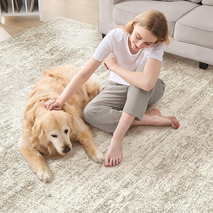 Area Rug Living Room Rugs - 5x7 Abstract Large Soft Indoor Washable Rug Neutral Modern Low Pile Carpet for Bedroom Dining Room Farmhouse Home Office - Vintage Beige