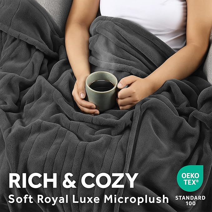 Sunbeam Electric Royal Luxe Microplush Heated Blanket, 12 Heat Settings, 12-Hour Auto Shut-Off, Fast Heating, Warm & Cozy, Machine Washable, Night Fog Color, Twin (84" x 62")