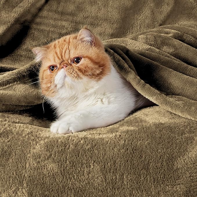 Bedsure GentleSoft Fleece Blankets King Size Camel - Bed Blanket Soft Lightweight Plush Cozy Fuzzy Luxury Microfiber, 108x90 inches