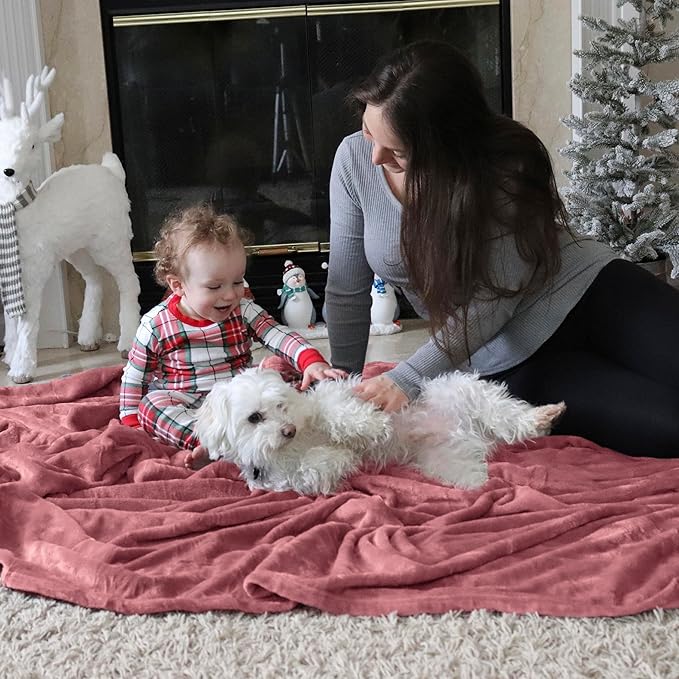 Bedsure GentleSoft Fleece Bed Blankets Queen Size Dusty Rose - Soft Lightweight Plush Fuzzy Cozy Luxury Blanket Microfiber, 90x90 inches