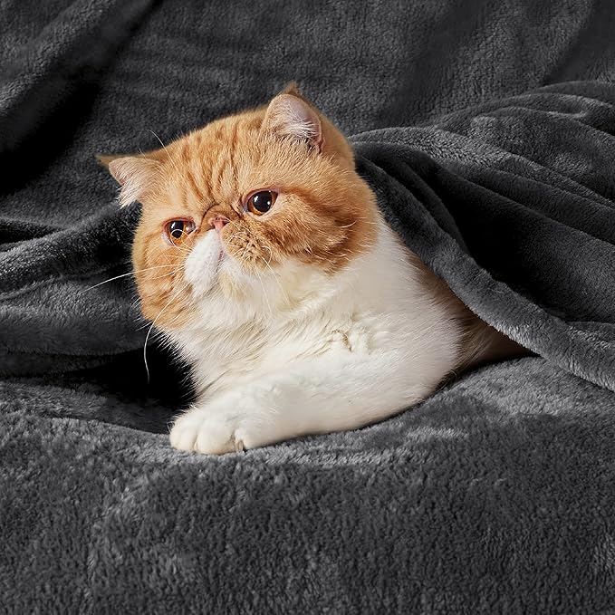 Bedsure GentleSoft Fleece Bed Blankets Large Size Charcoal - Soft Lightweight Fuzzy Cozy Luxury Oversized King Blanket Microfiber, Room Home Decor Gifts for Women and Men, 120x120 inches
